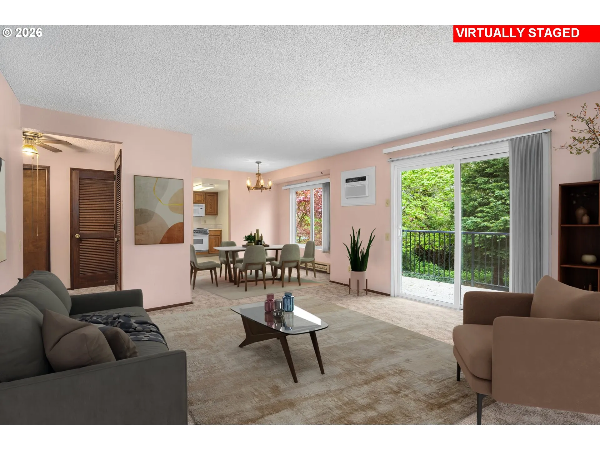 Living Room/Entrance