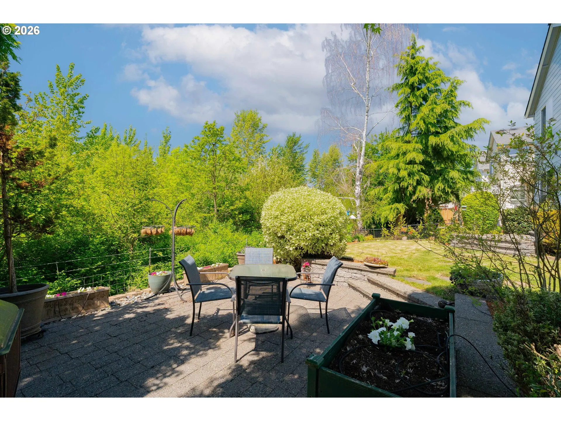 Backyard