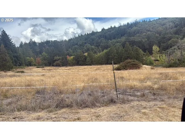 Pasture