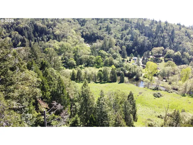 Pond