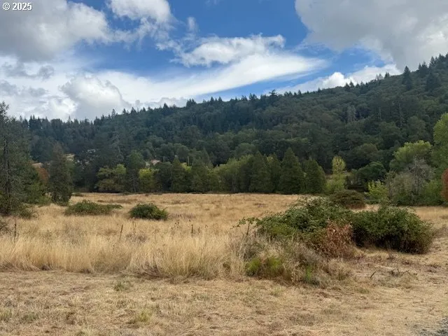Pasture