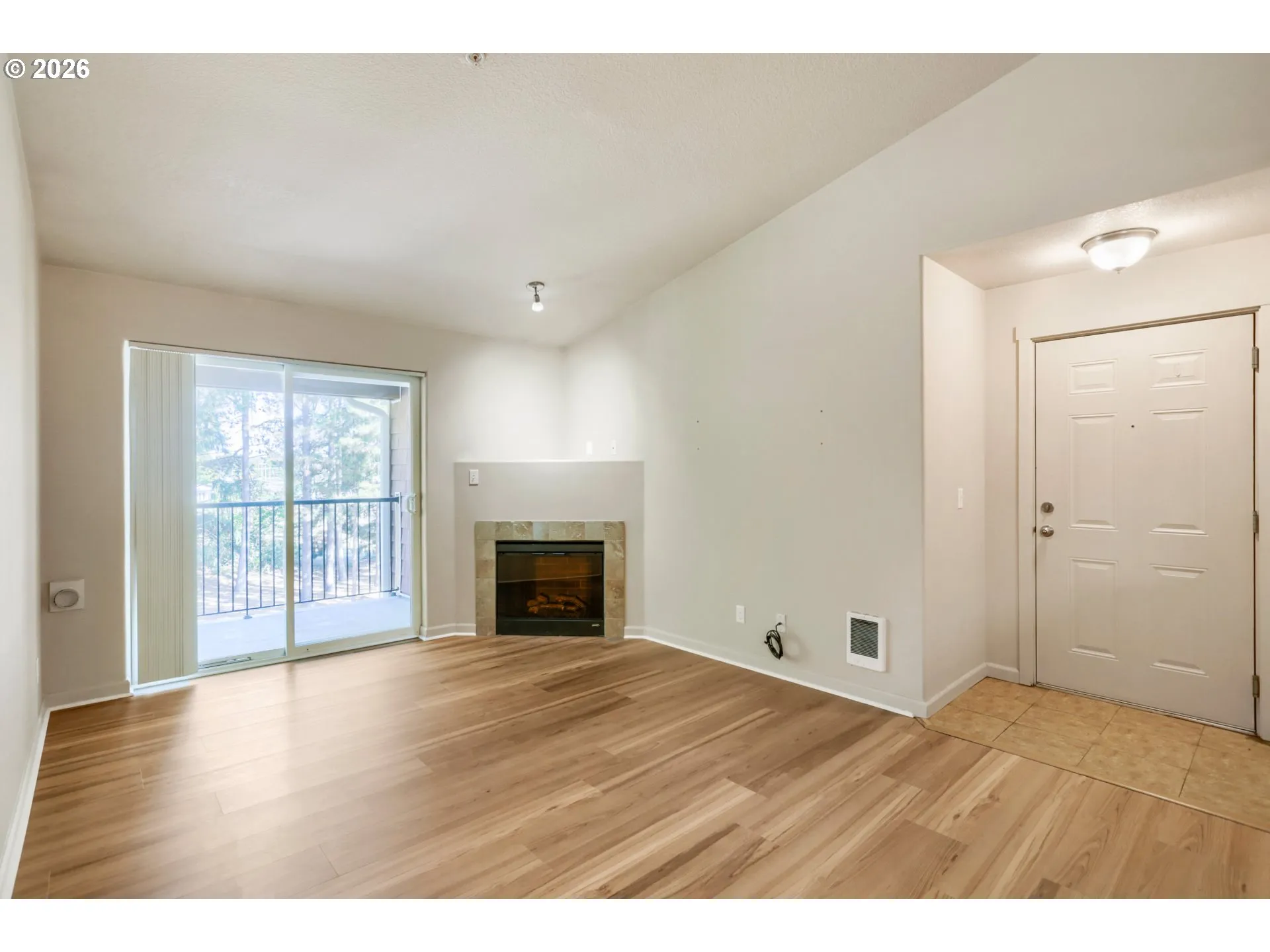 Living Room-Fireplace