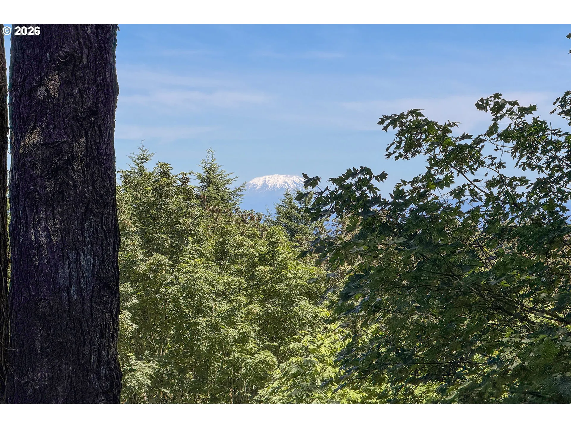 View-Mountain