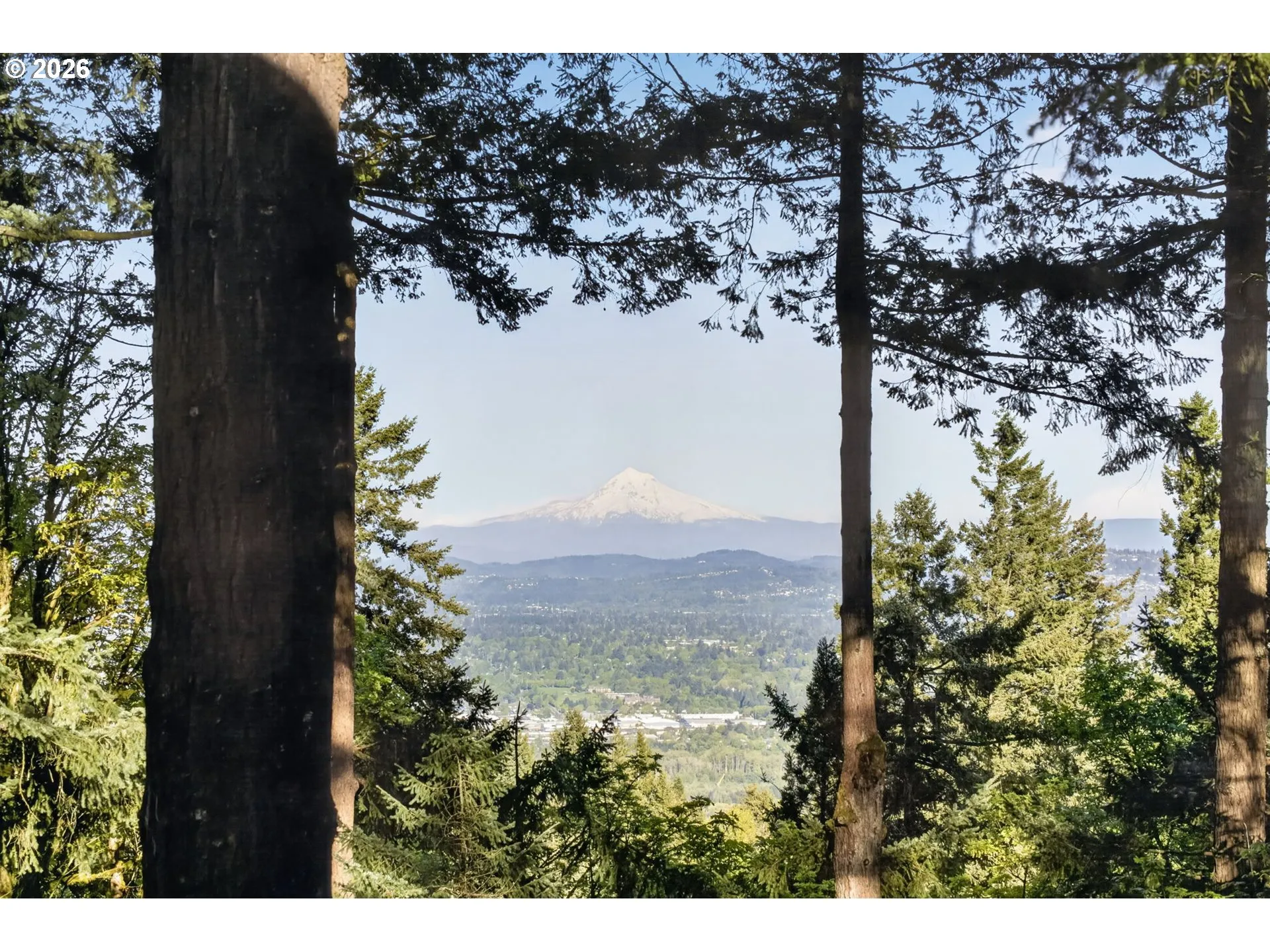 View-Mountain