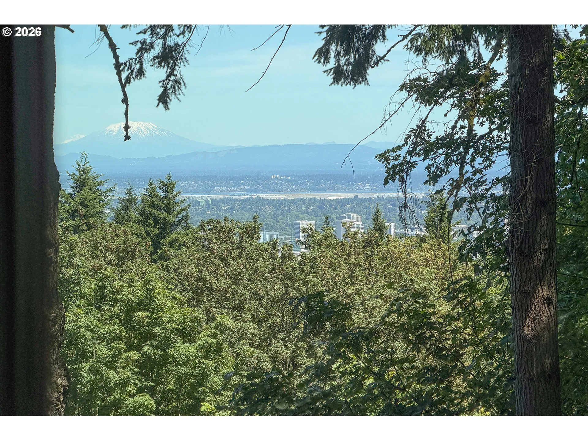 View-Mountain