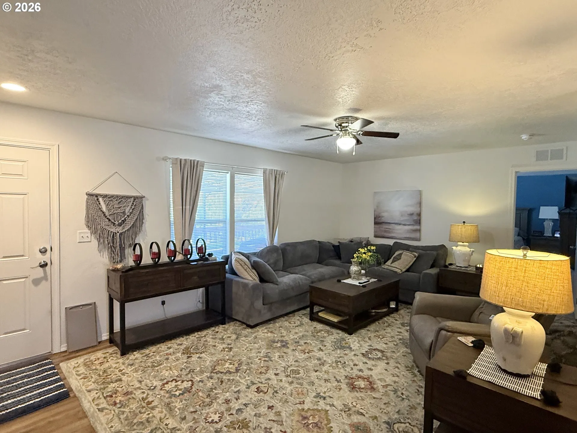 Living Room/Entrance
