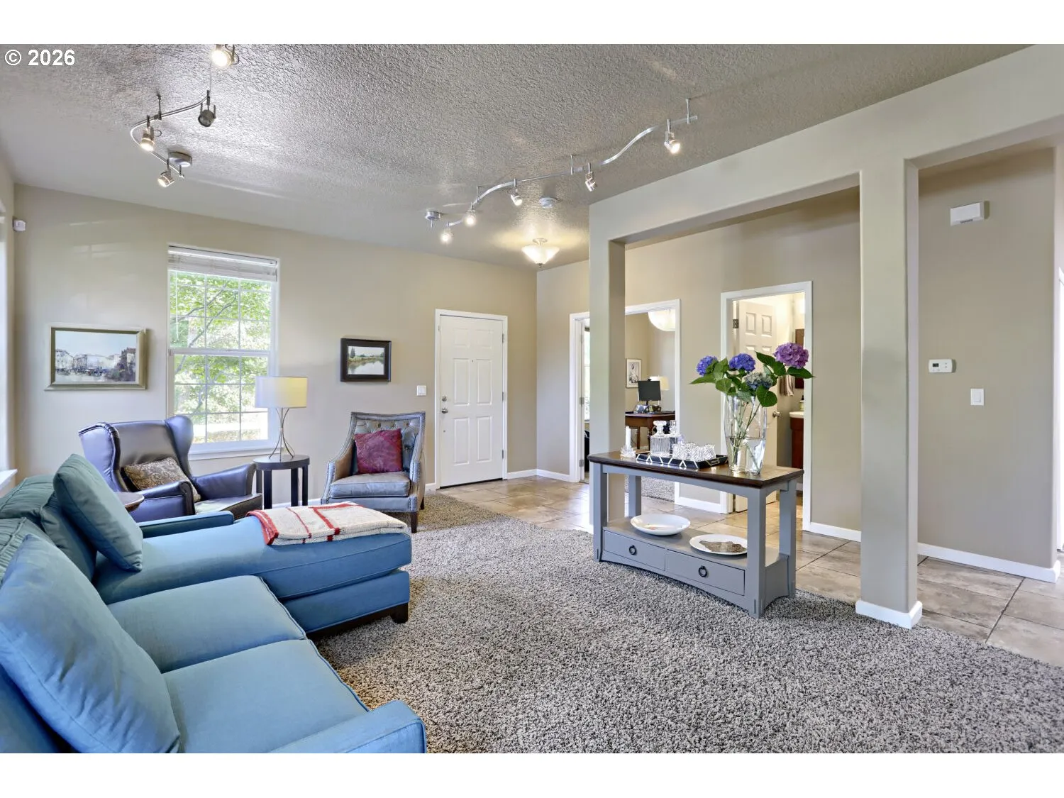 Living Room/Entrance