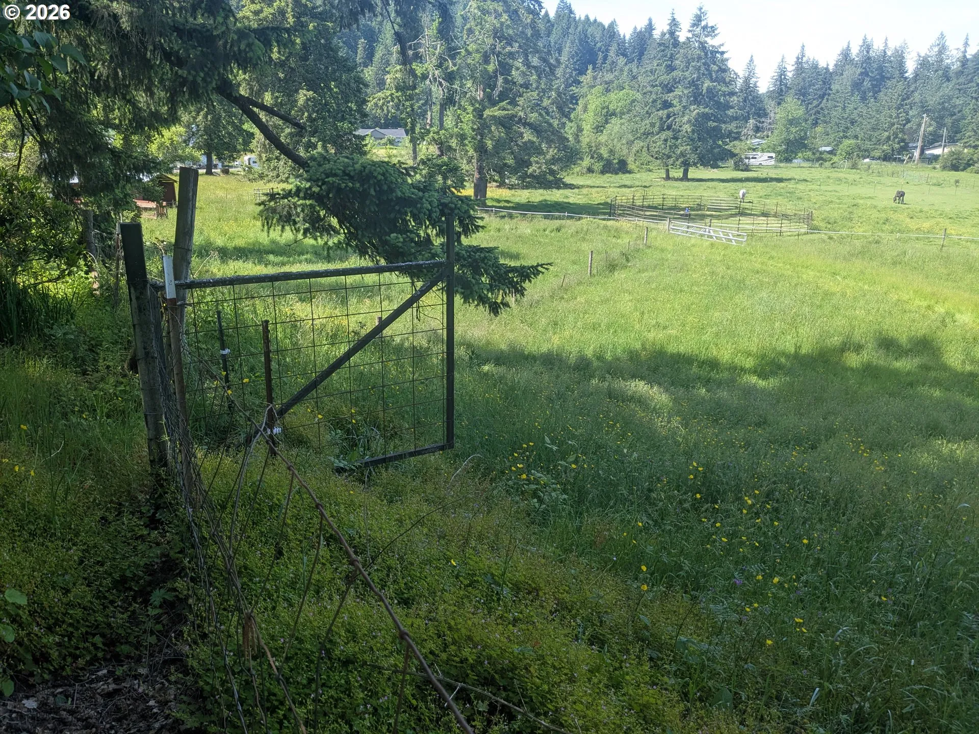 Pasture