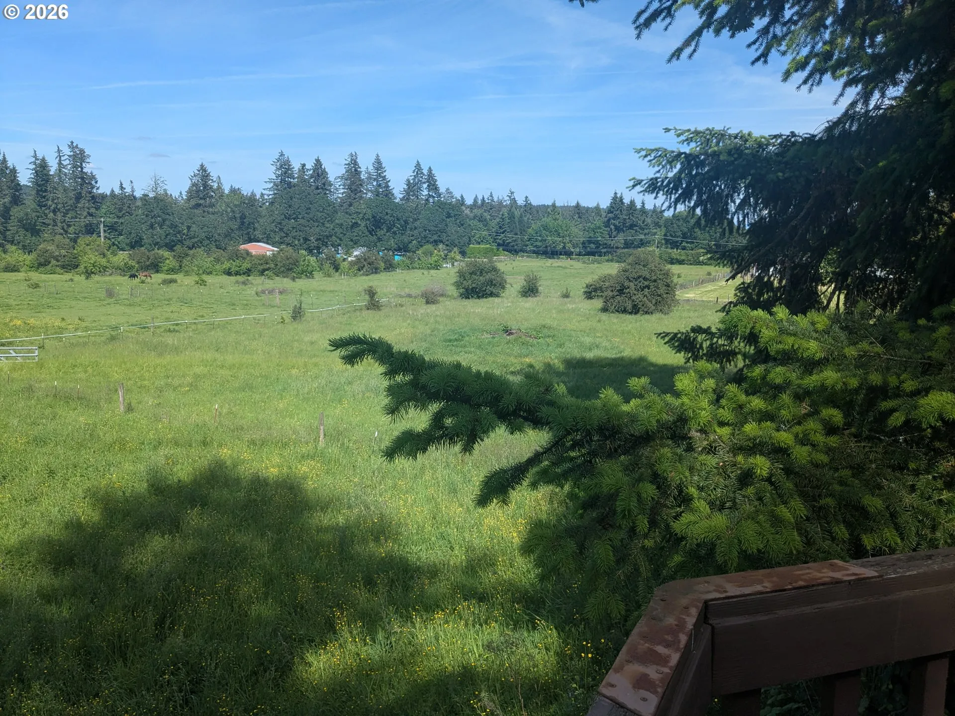 Pasture