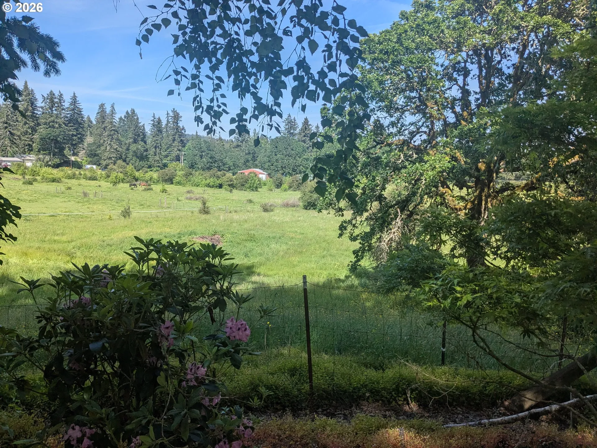 Pasture