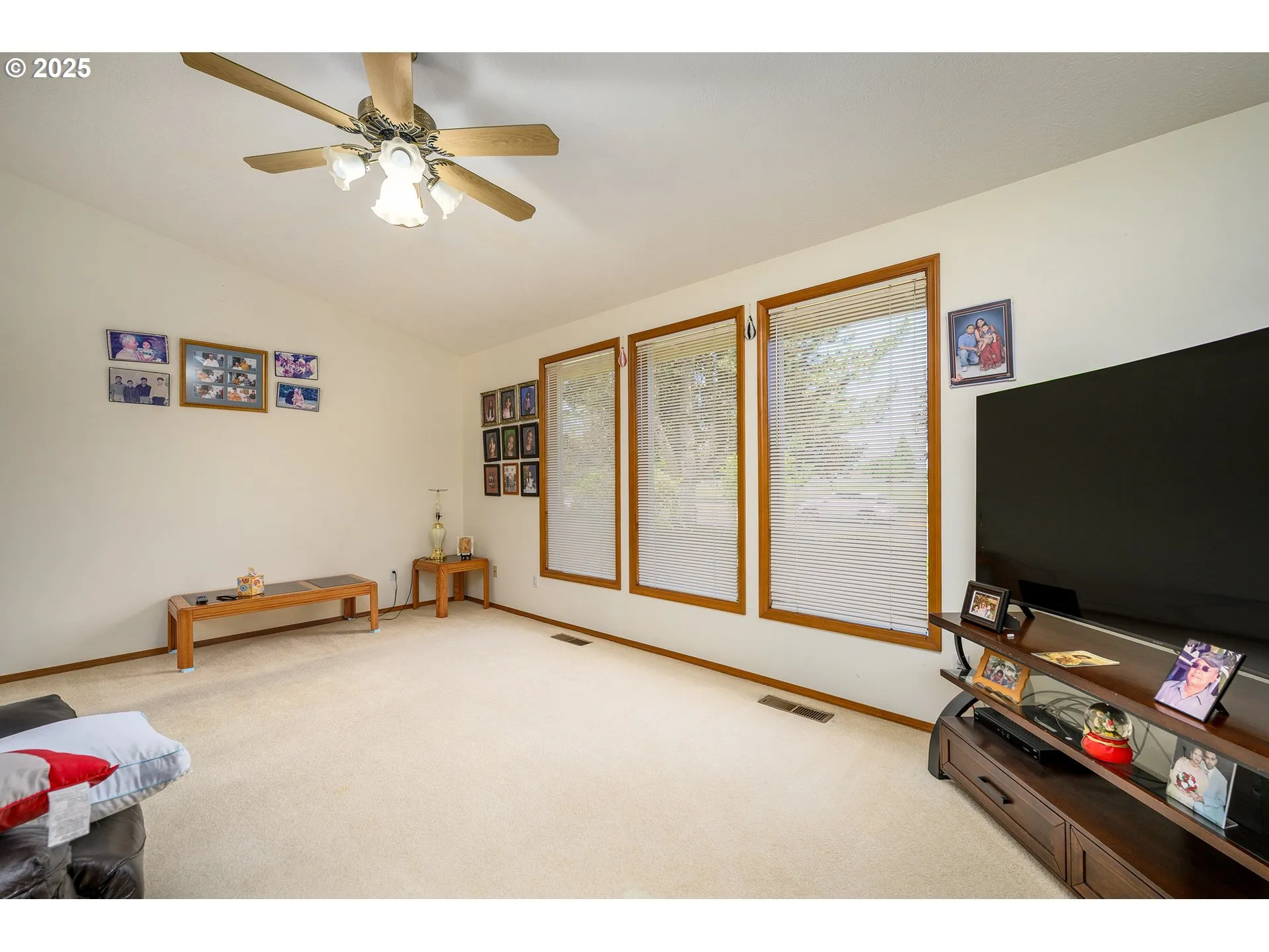 Living Room-Ceiling Fan