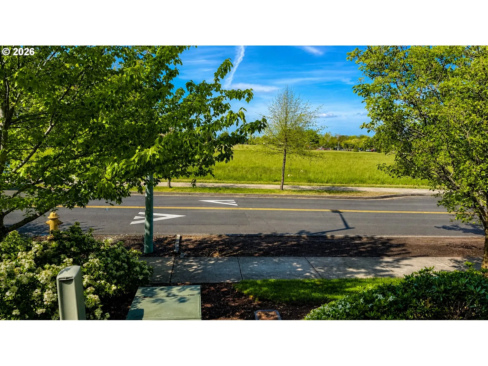 Front Yard-View From