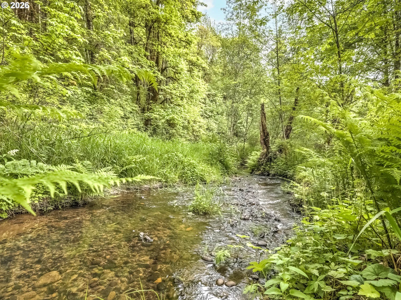 Creek