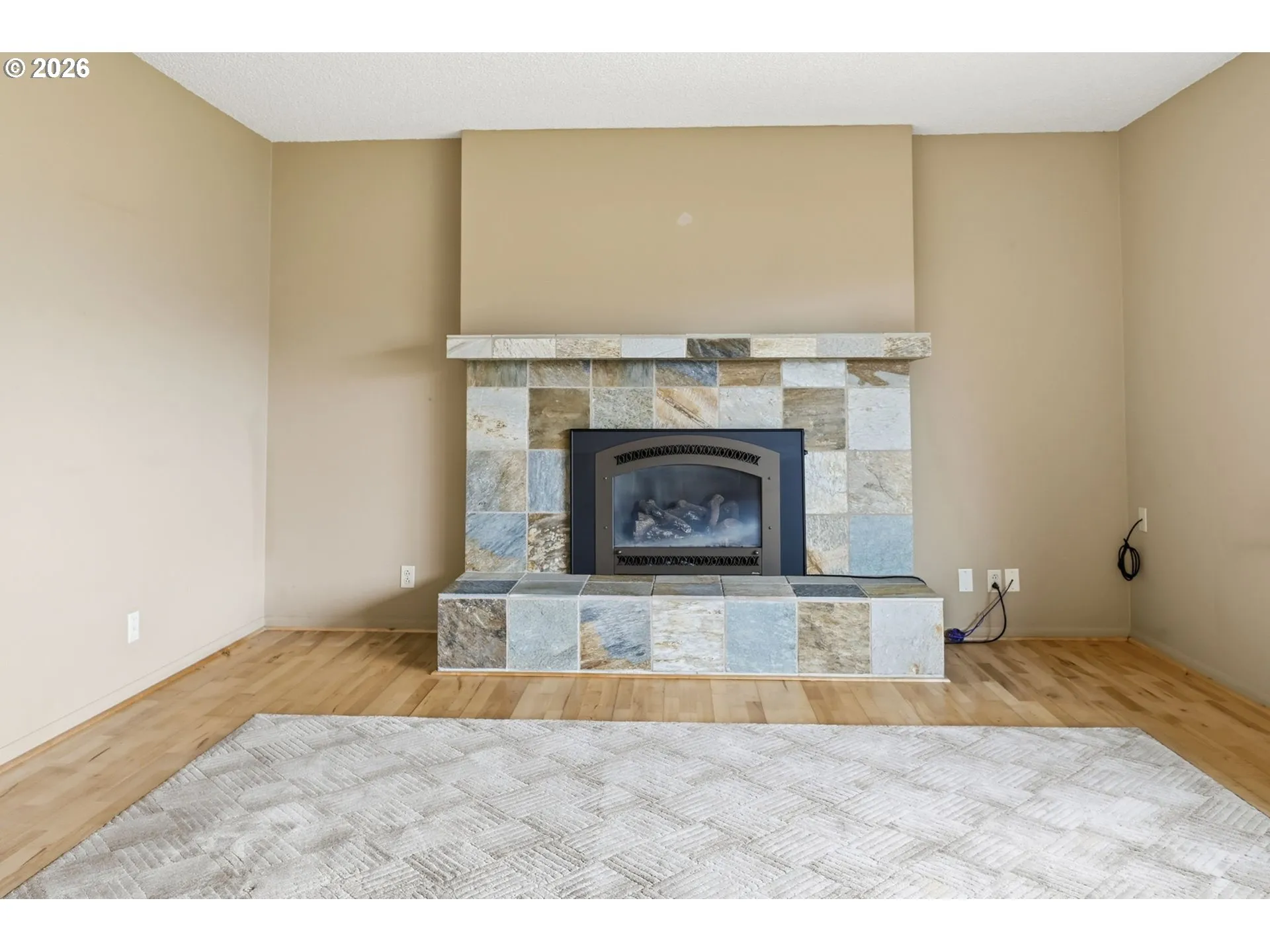 Living Room-Fireplace