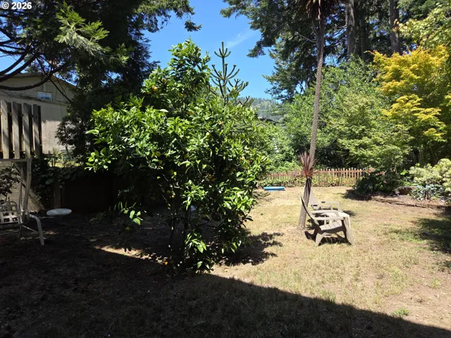 Backyard-Fenced