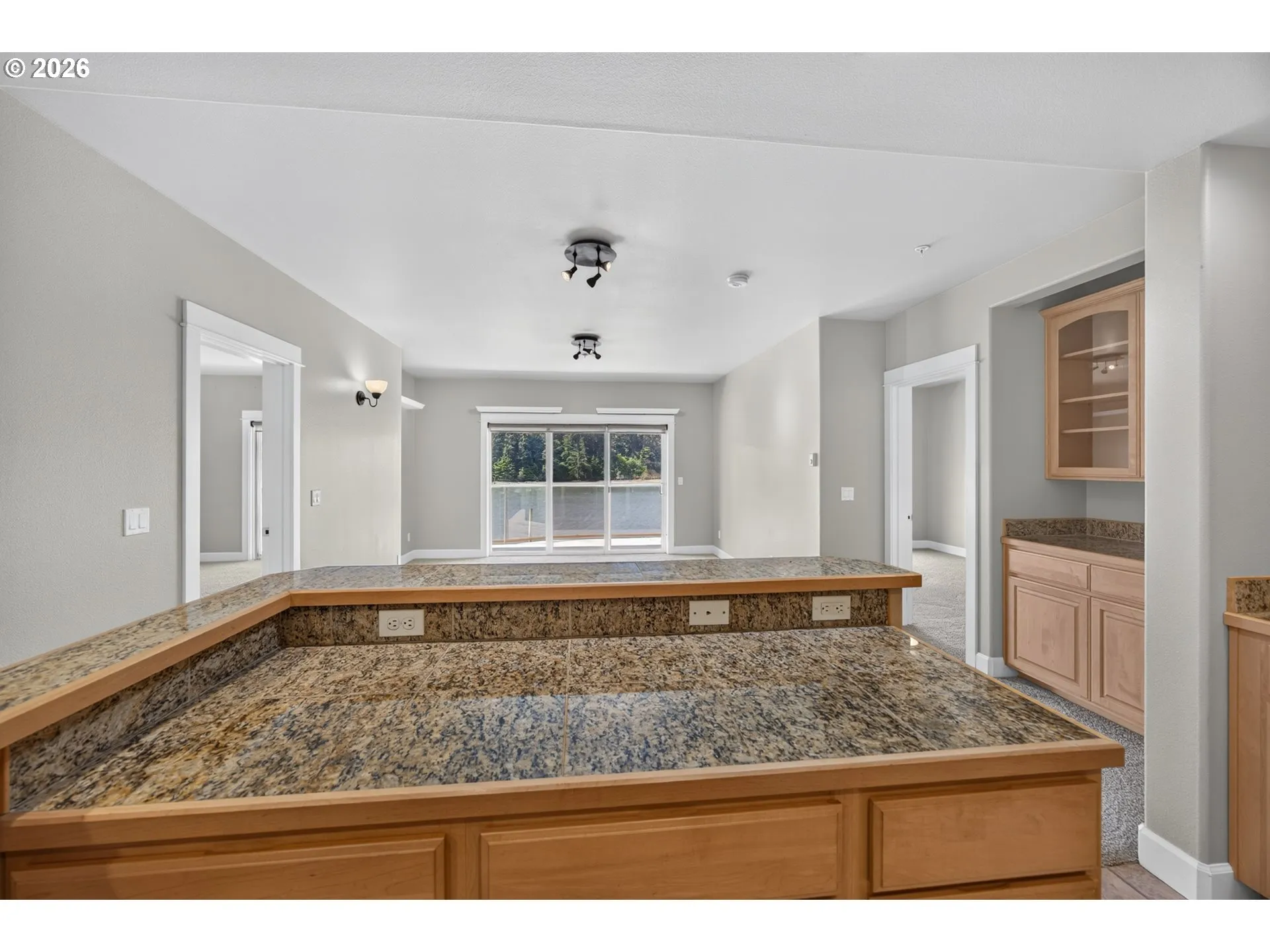 Kitchen-View From