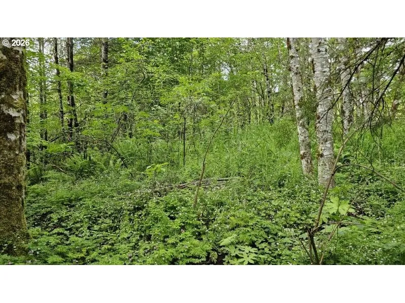 Acreage