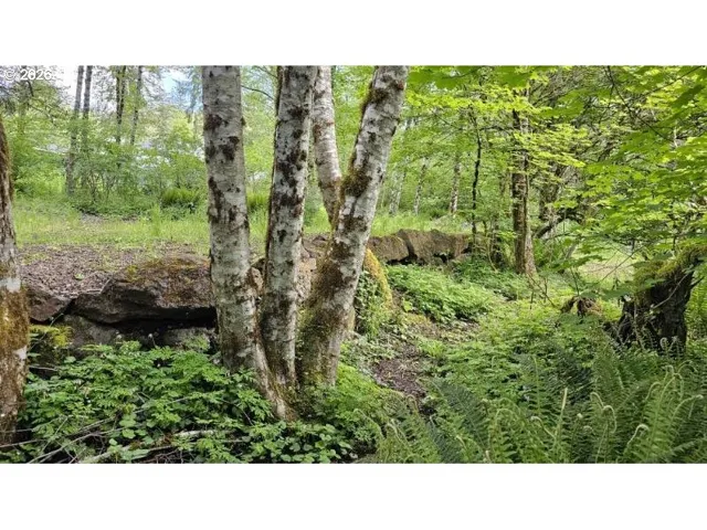 Acreage