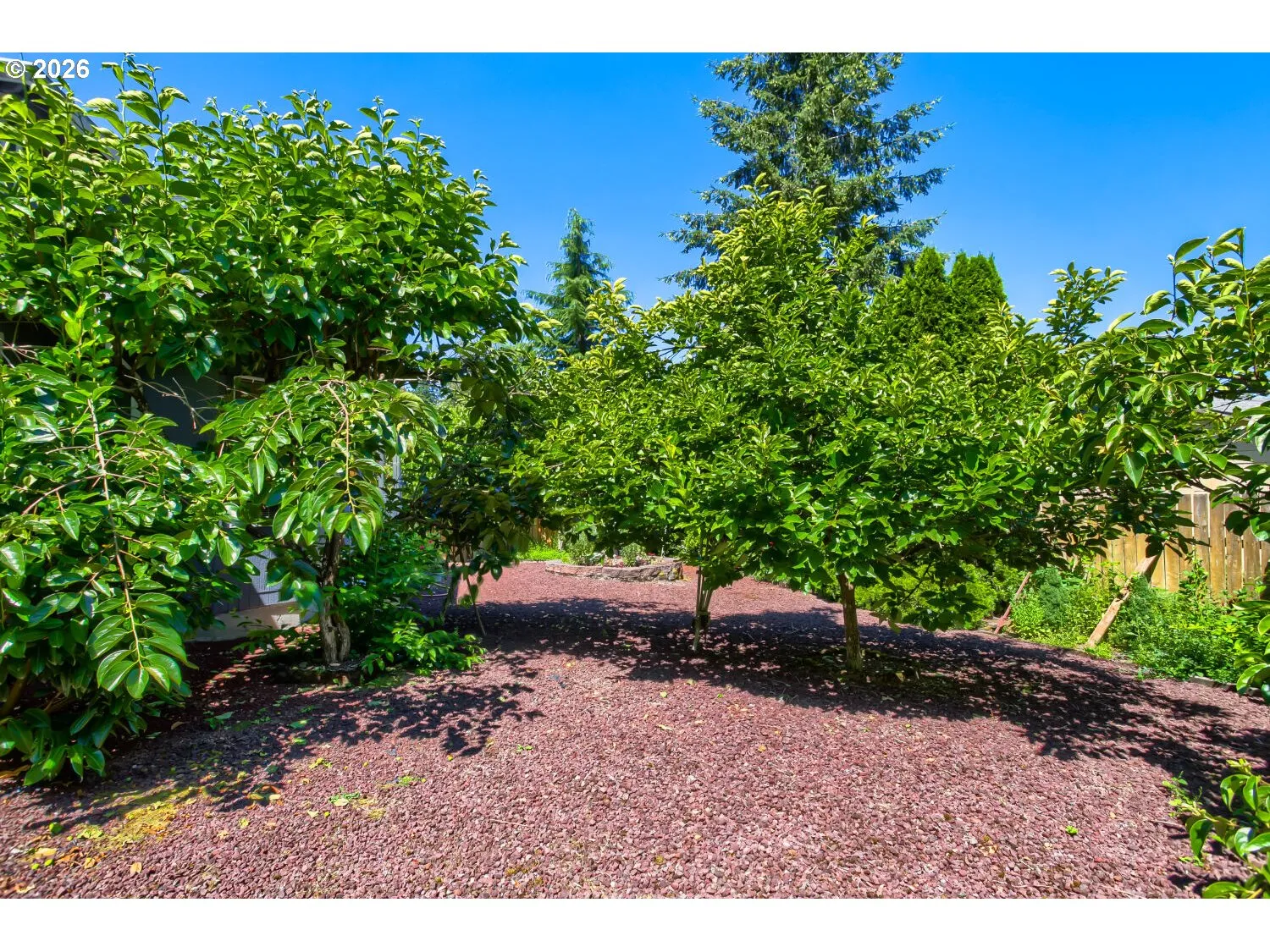 Yard-Trees