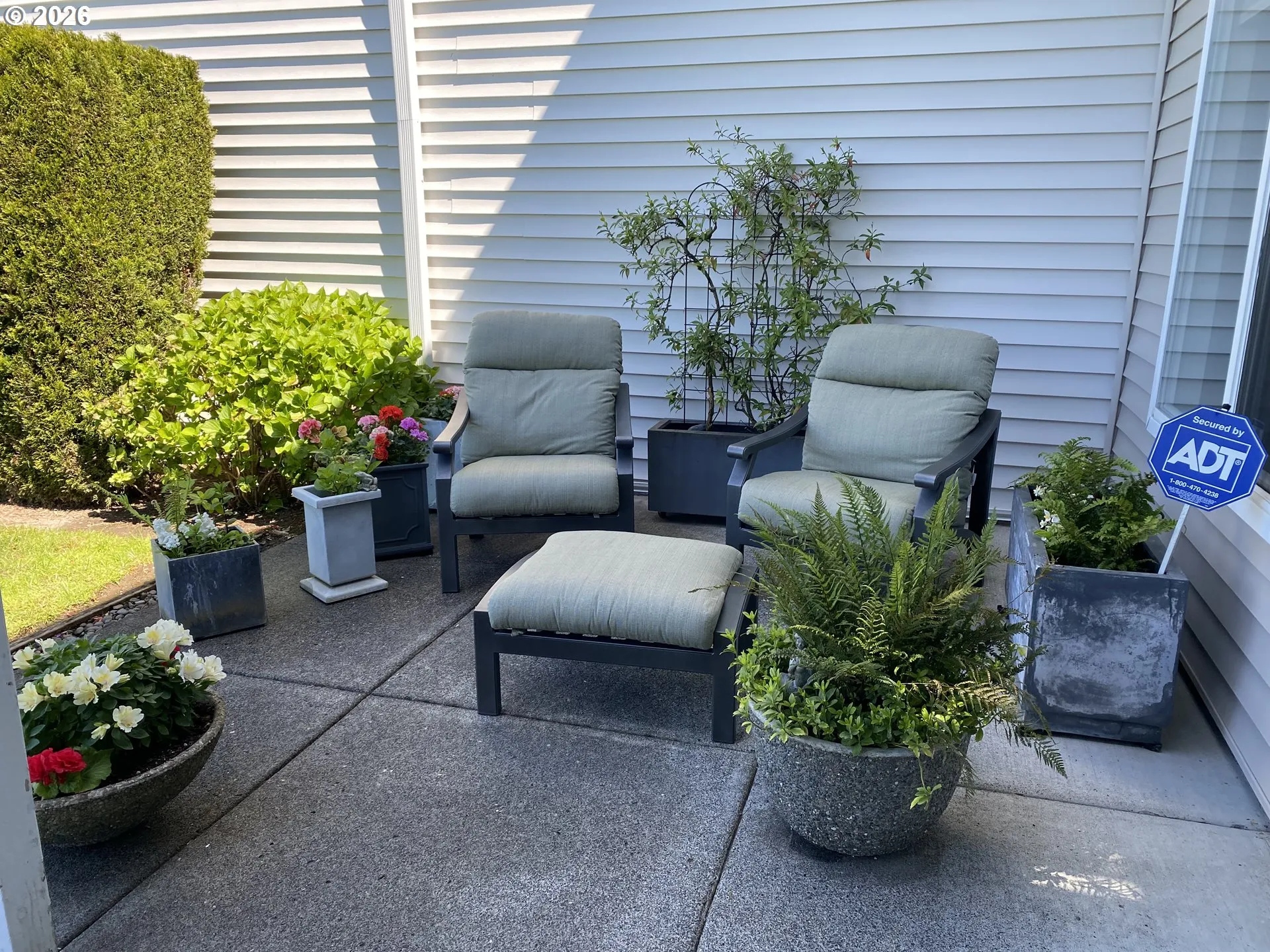 Patio-Backyard