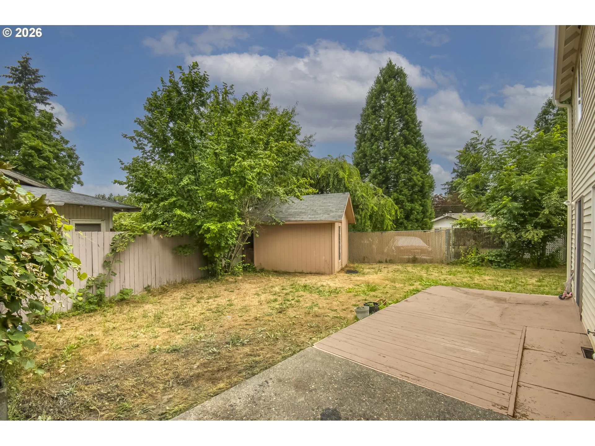 Backyard