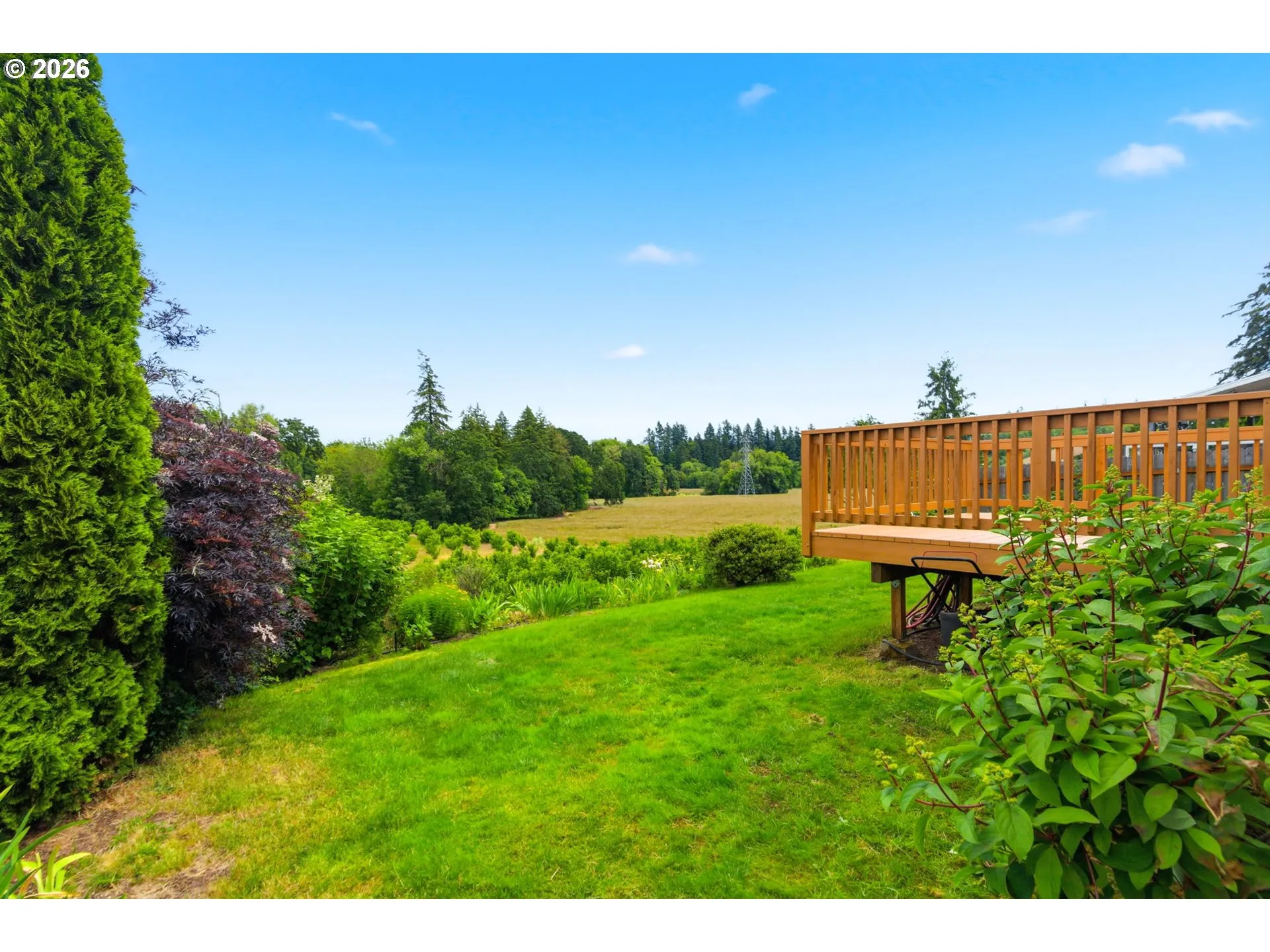 Backyard-View From