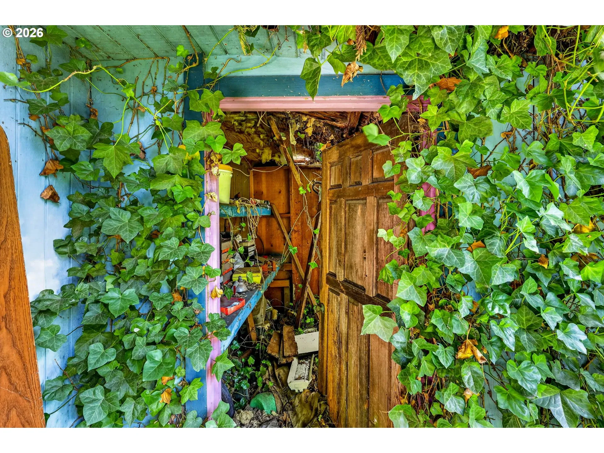 Shed