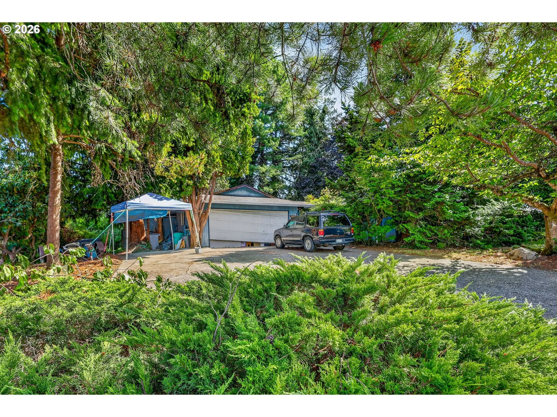 Front Yard