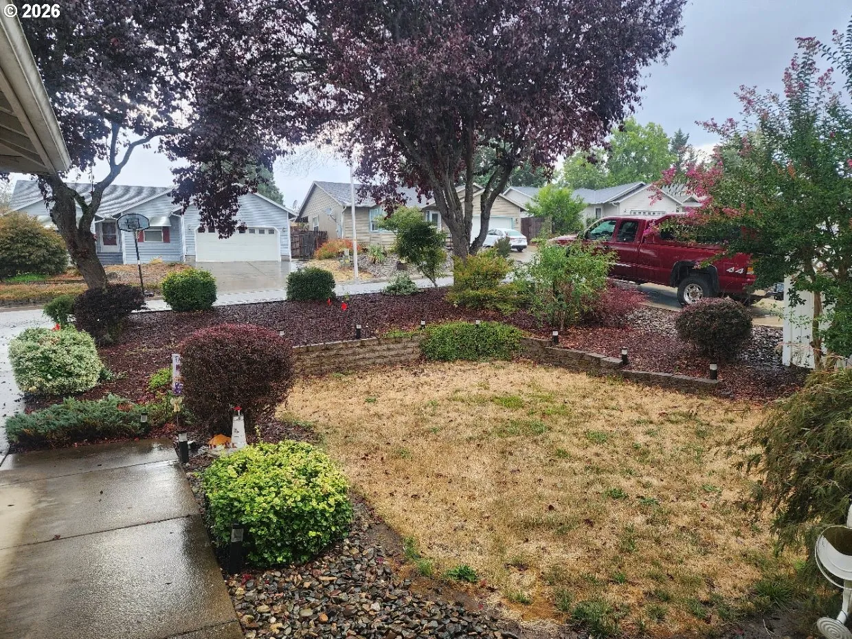 Front Yard