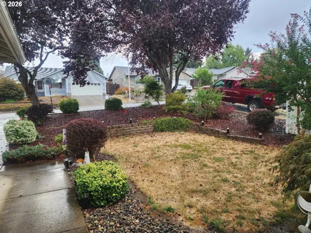 Front Yard