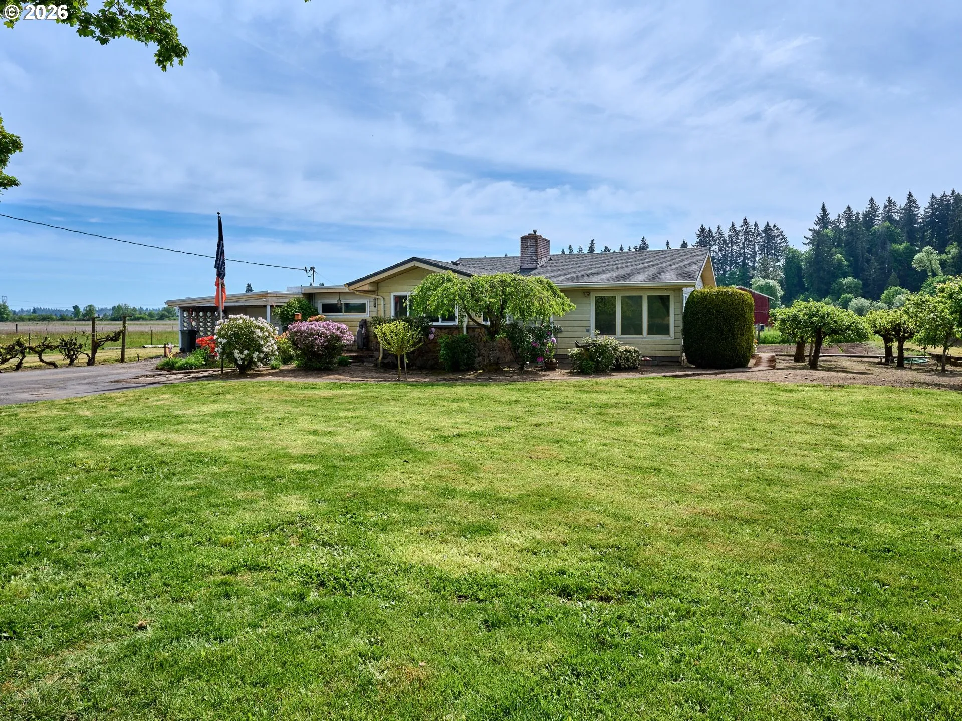 Front Yard