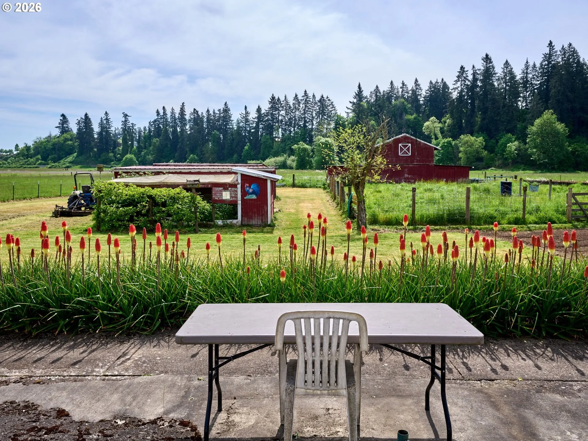 Backyard-View From
