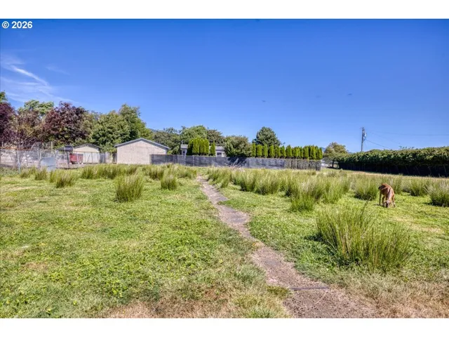 Yard