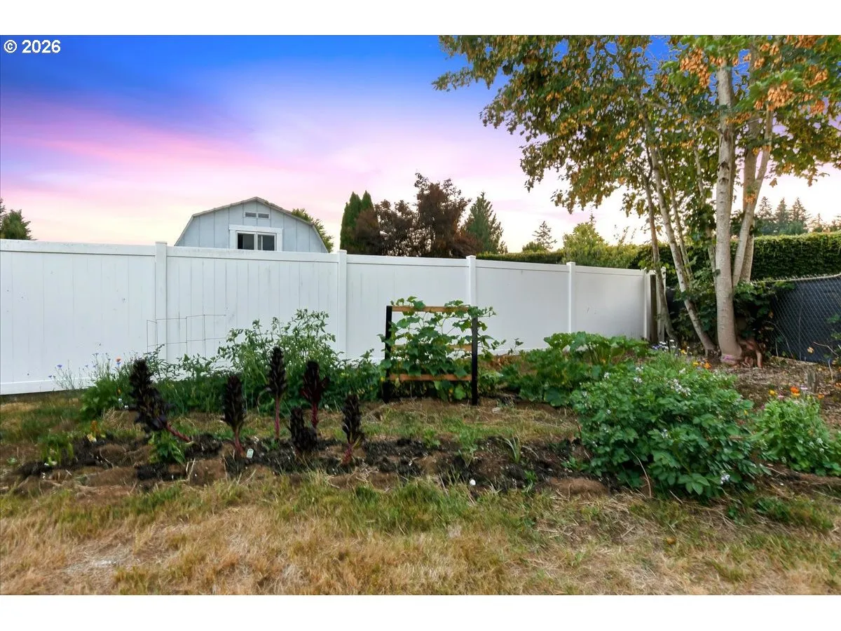 Backyard-Fenced