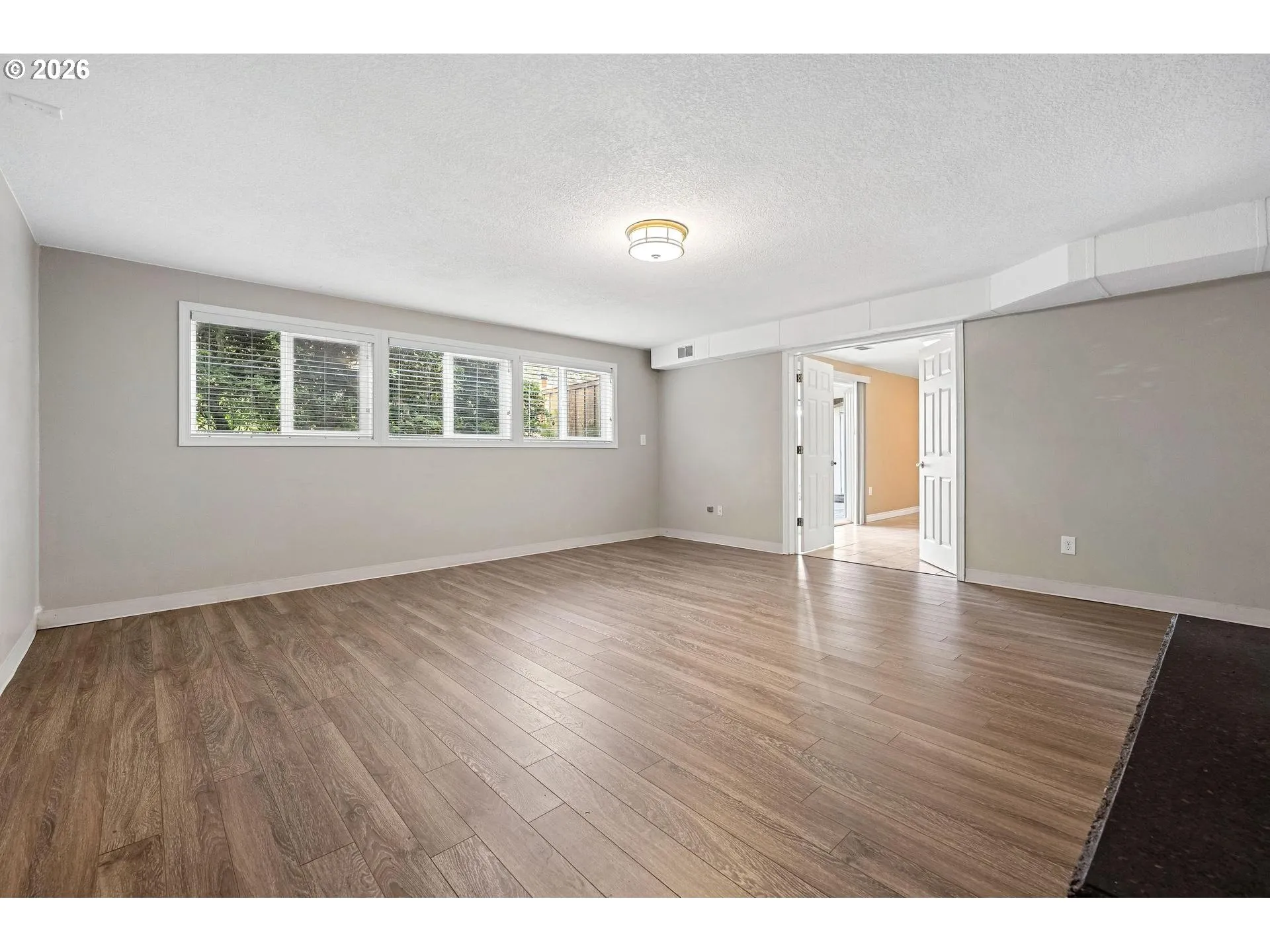 Family Room-Lower