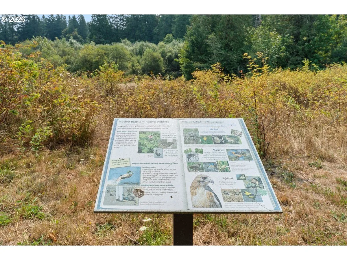 Green Space