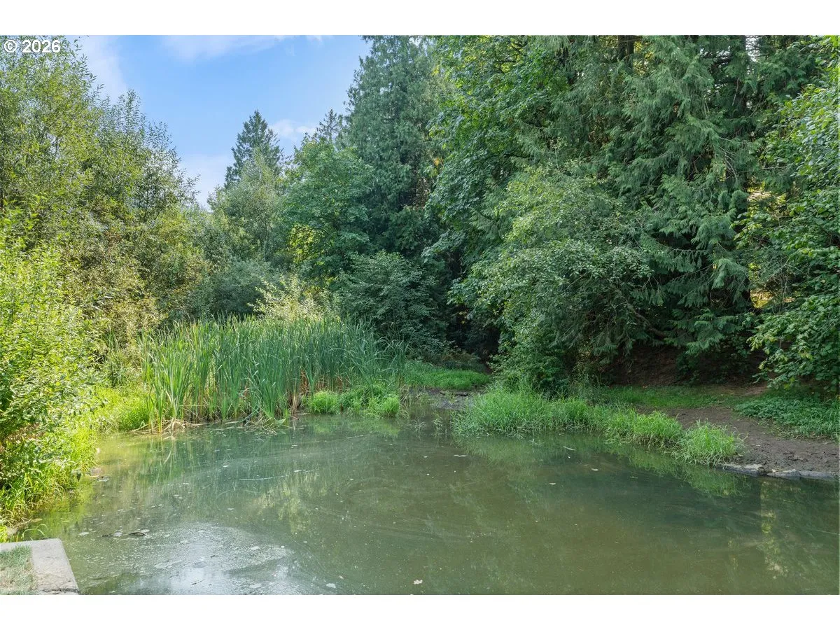 Pond