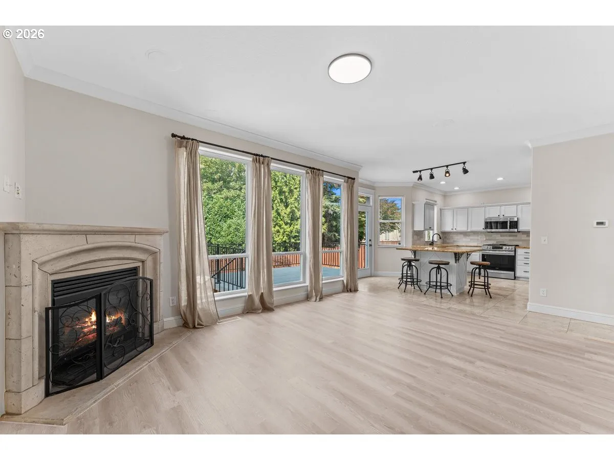 Fireplace Gas