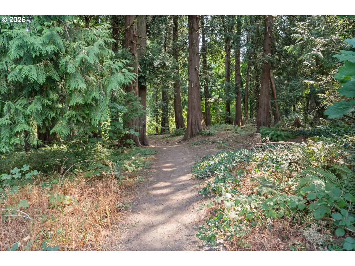 Community Park