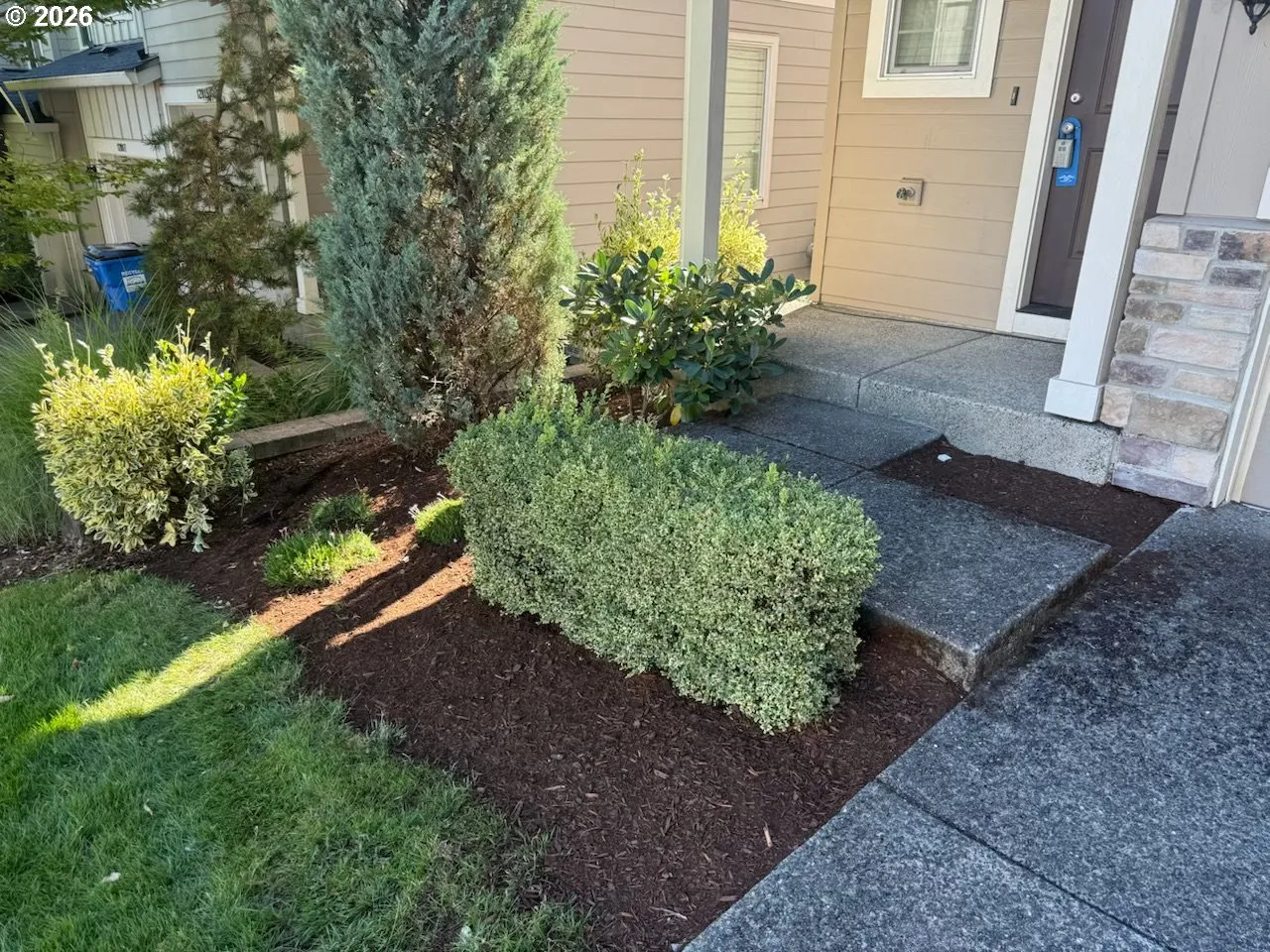 Front Yard