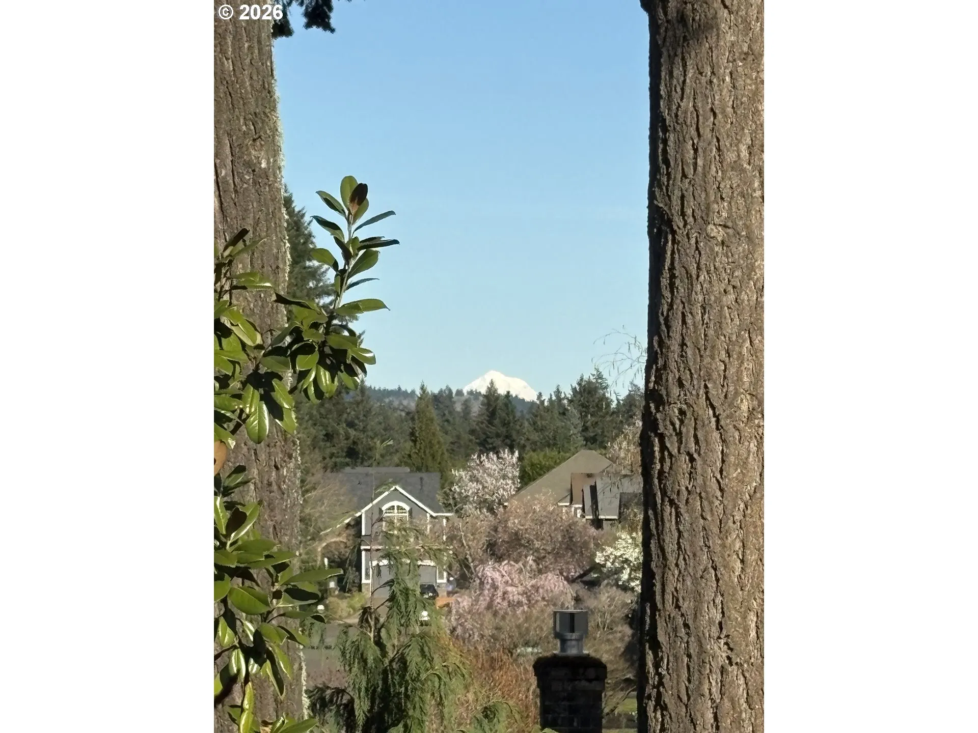 View-Mountain