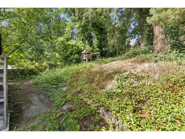 Backyard-Fenced