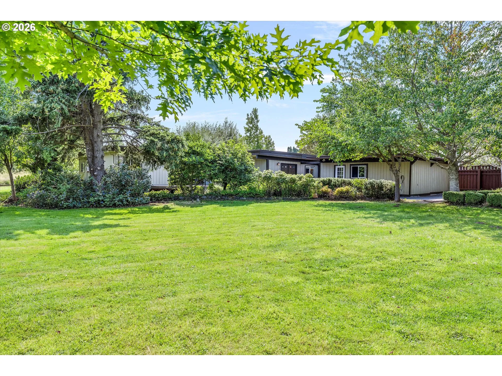 Front Yard