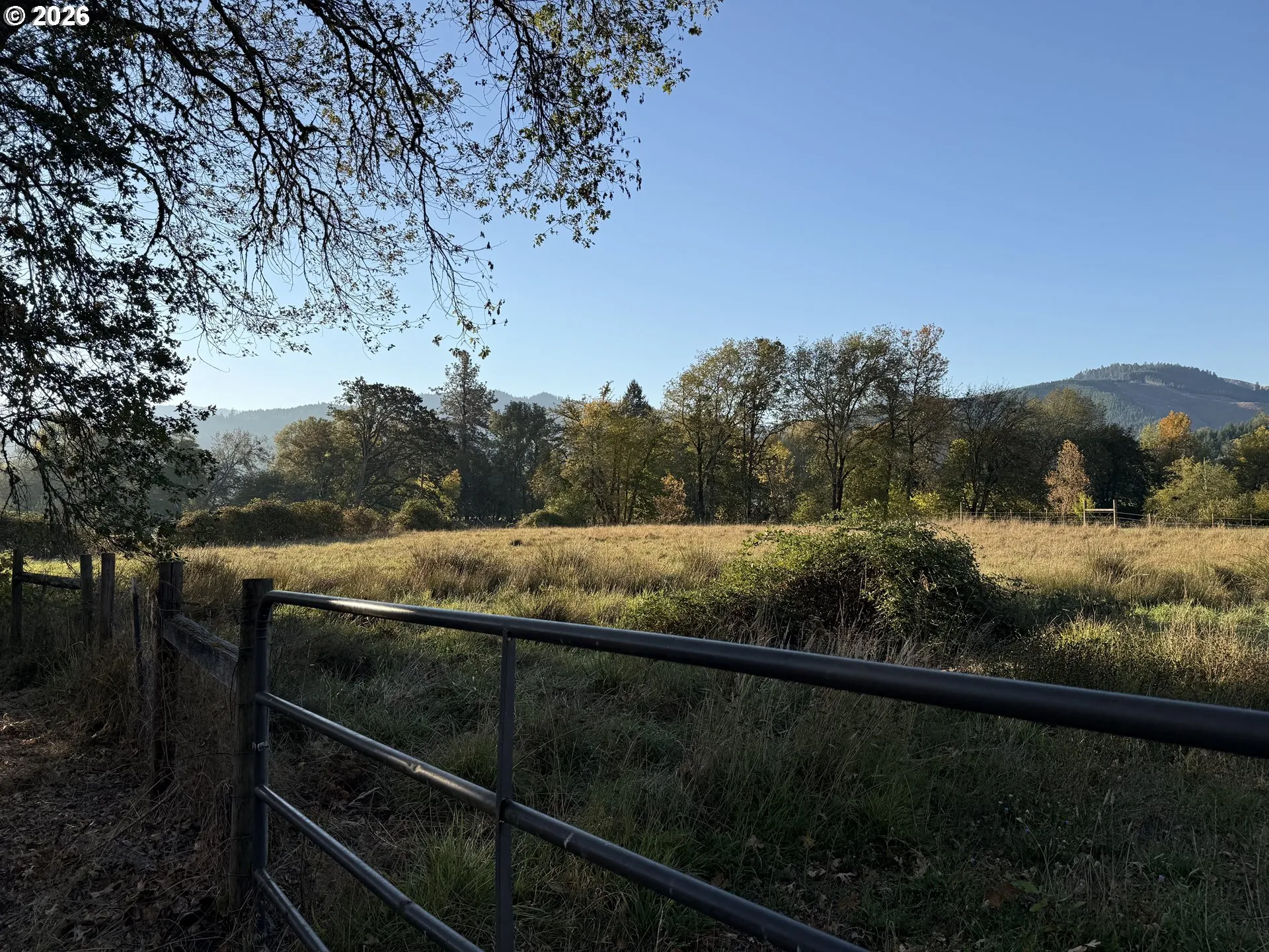 Pasture