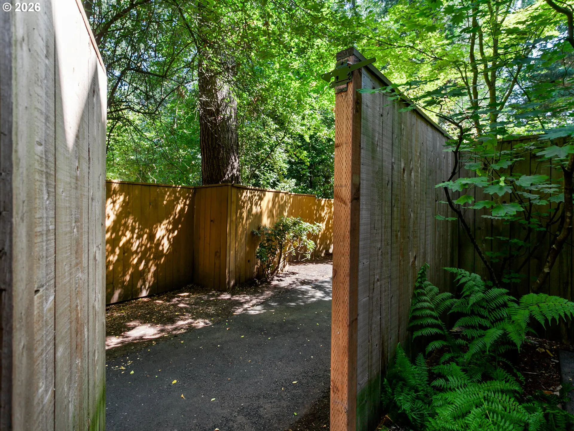 Backyard-Fenced