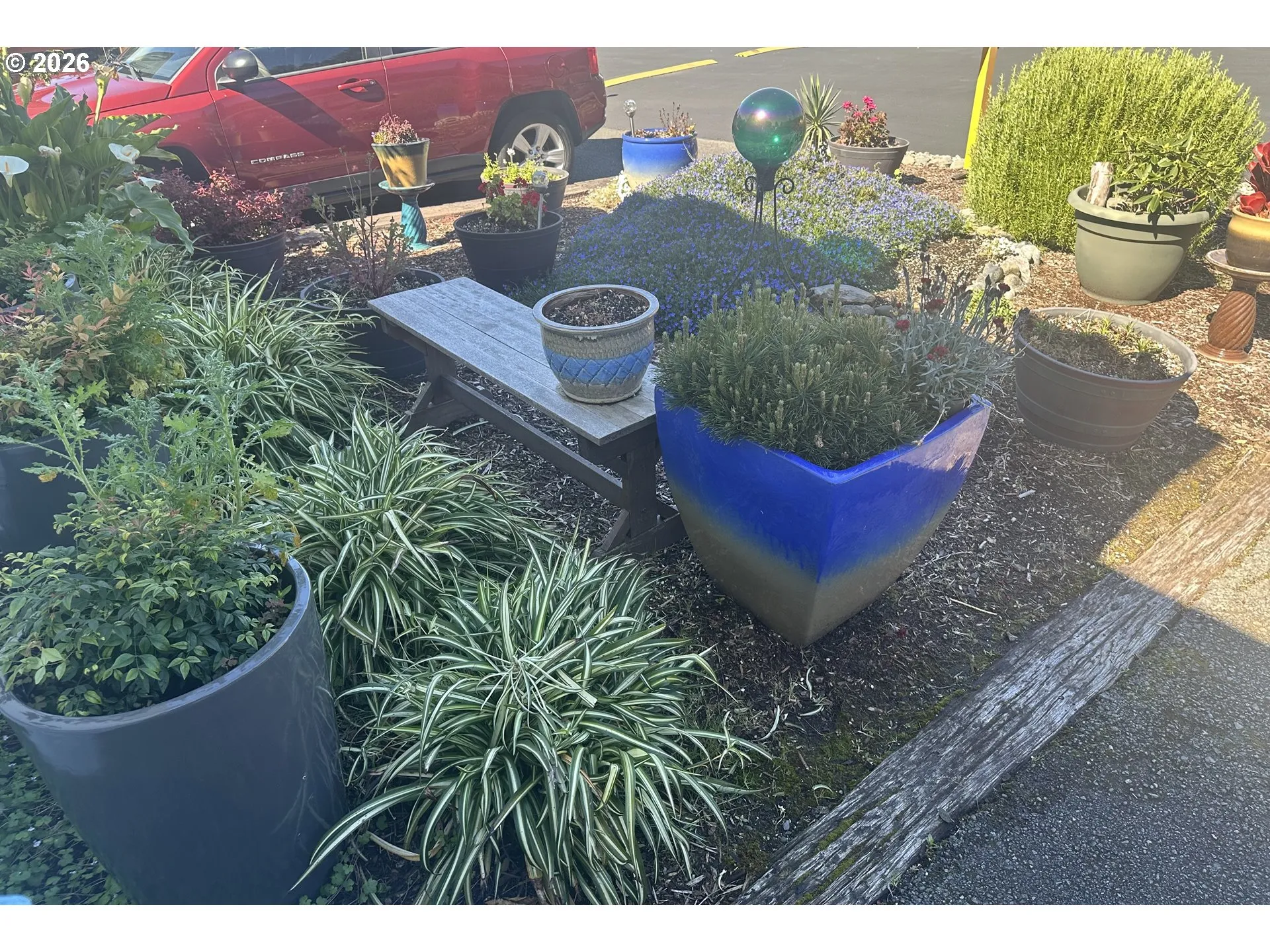 Front Yard