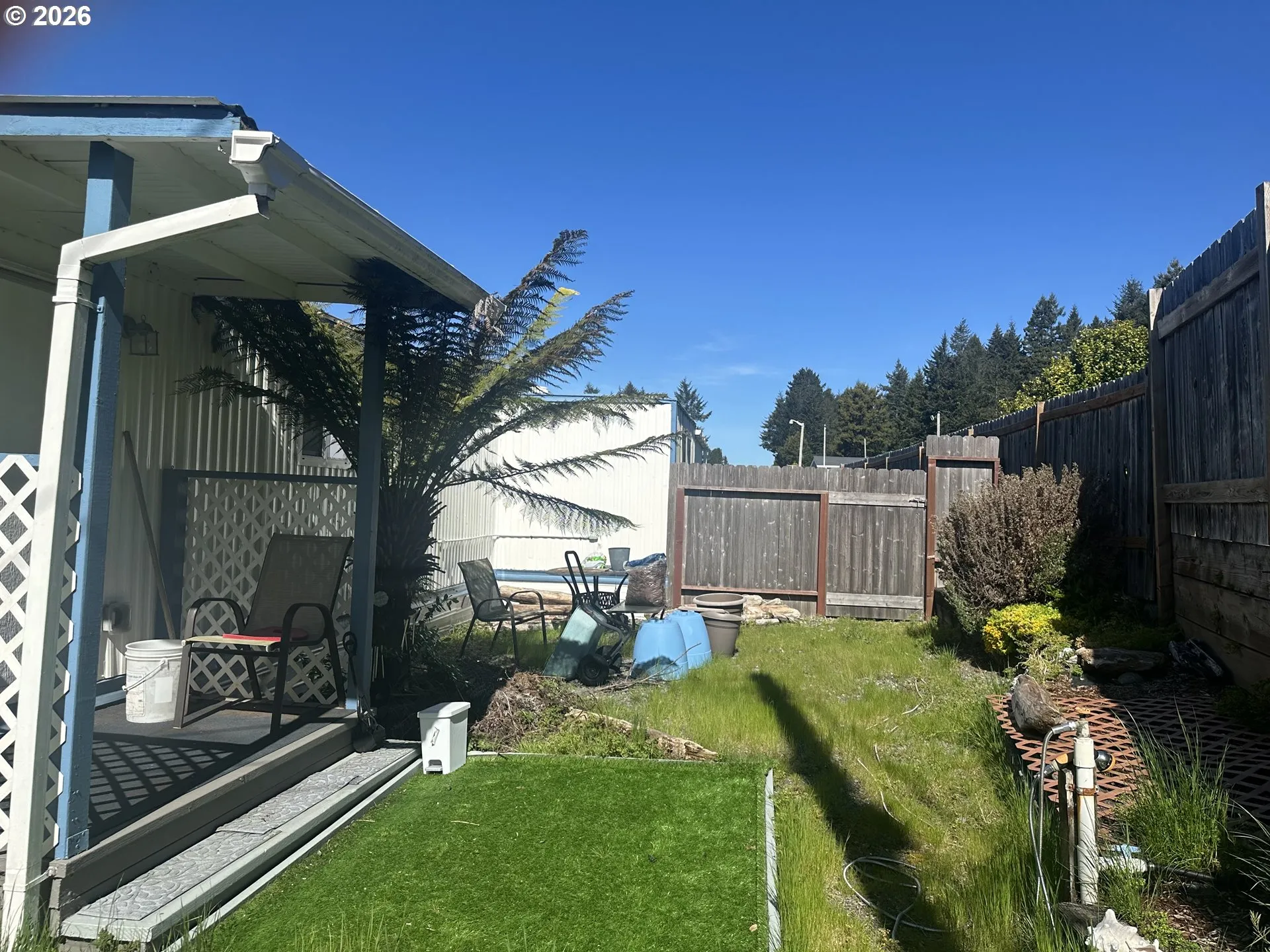 Backyard
