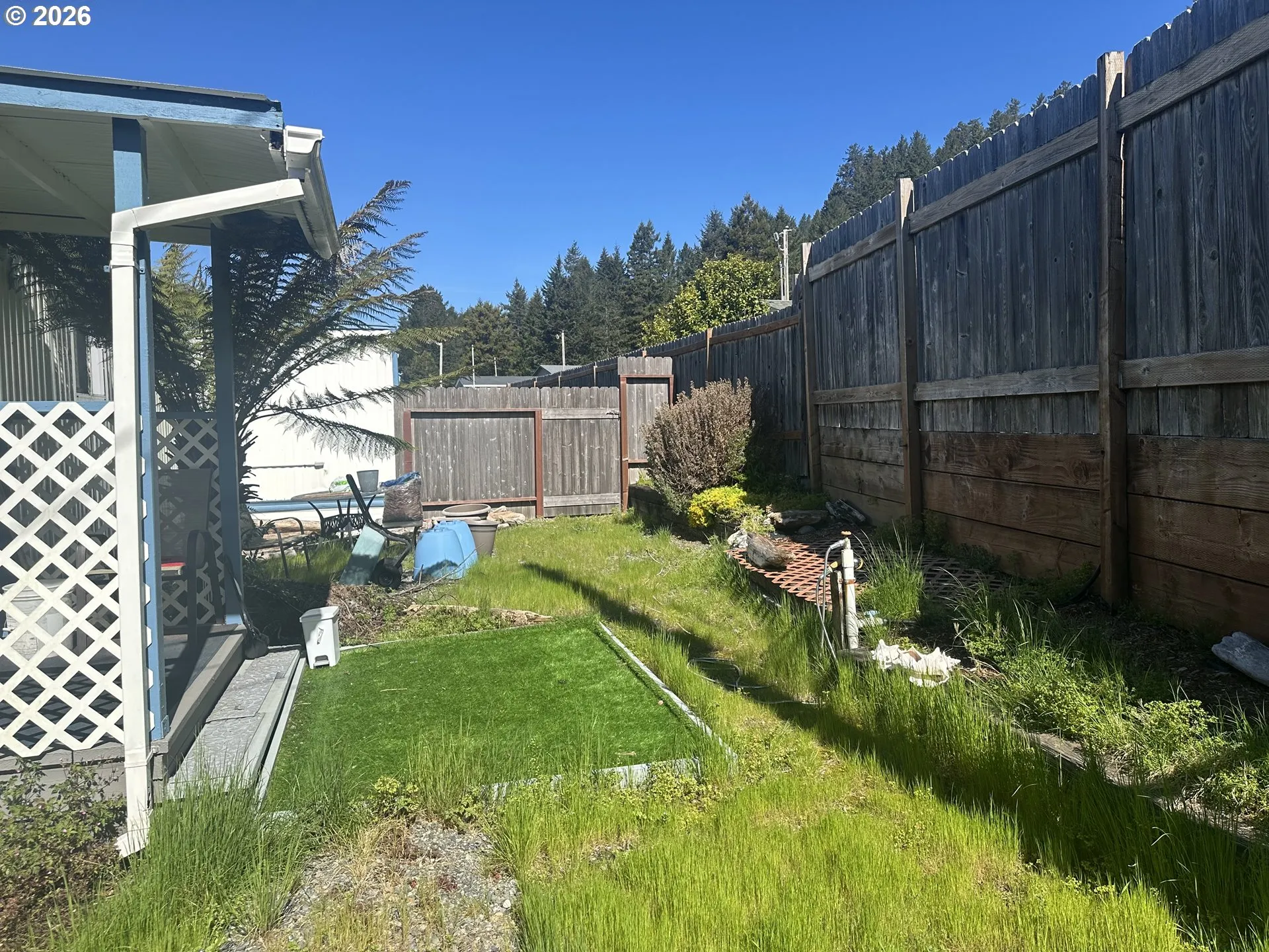 Backyard