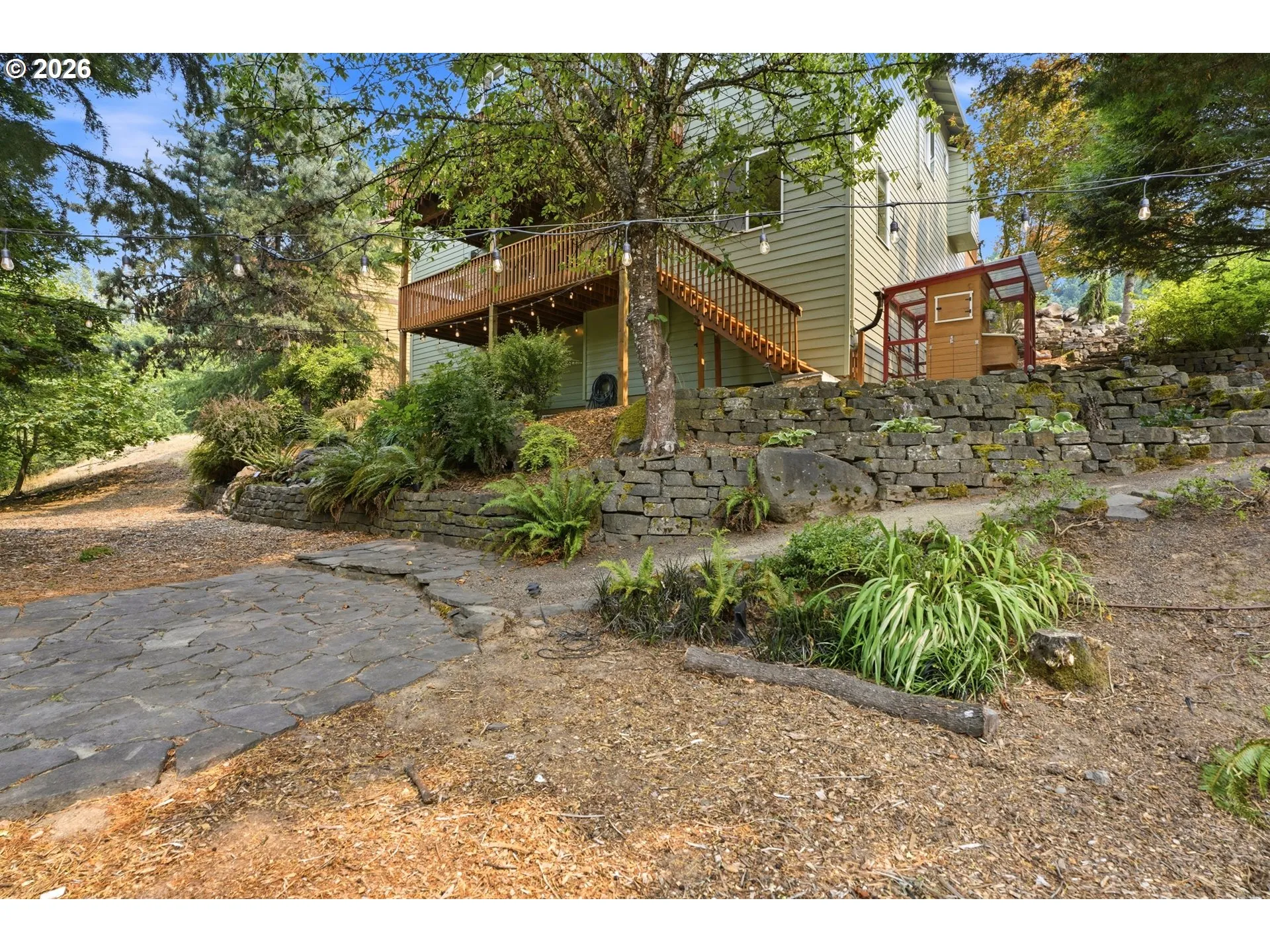 Backyard-View From