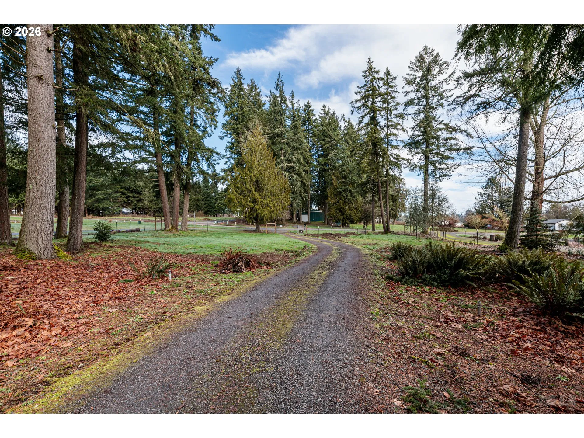 Driveway